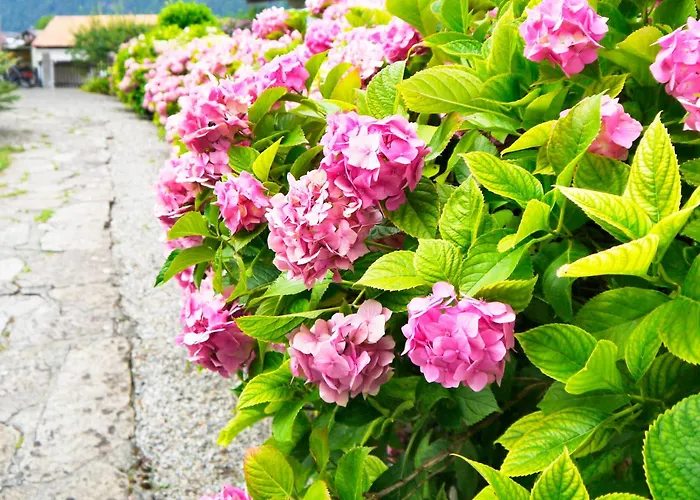 Maria Ιντερλάκεν